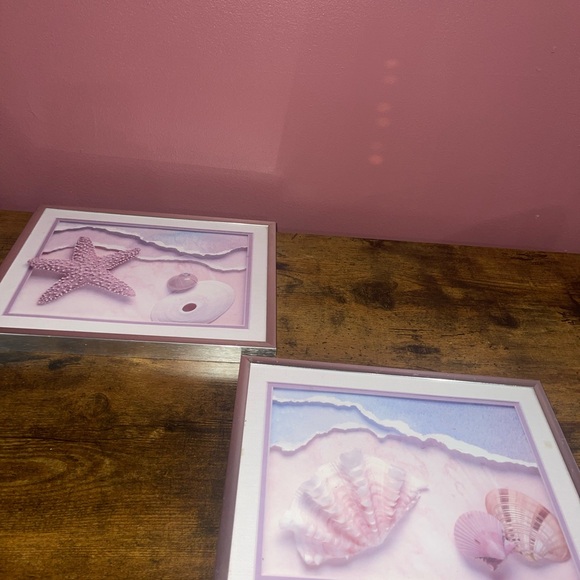 Sea Shell prints frames - Picture 2 of 12